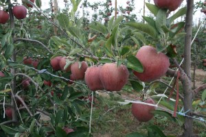 Bajada del duero 2011 (35)